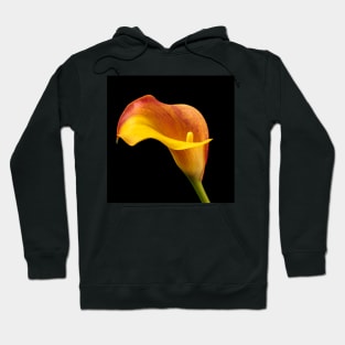 Single Red And Yellow Calla Lily Hoodie